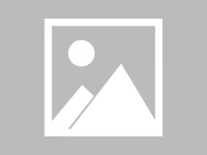 10kg普印无纺布面粉袋 内蒙古面粉袋,通辽面粉袋订做