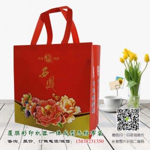 西凤酒无纺布手提袋 酒袋 装酒无纺布袋