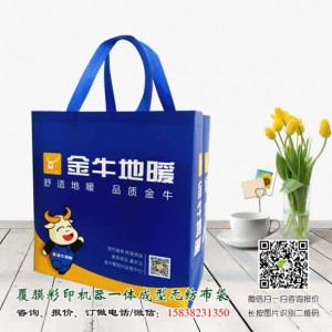 一次成型彩印无纺布手提袋